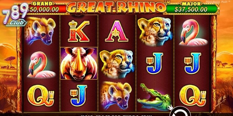 Great Rhino 789club - Khám Phá Thế Giới Hoang Dã Hấp Dẫn 4 Một số tính năng bonus nổi bật